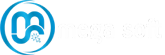 MegaSoft